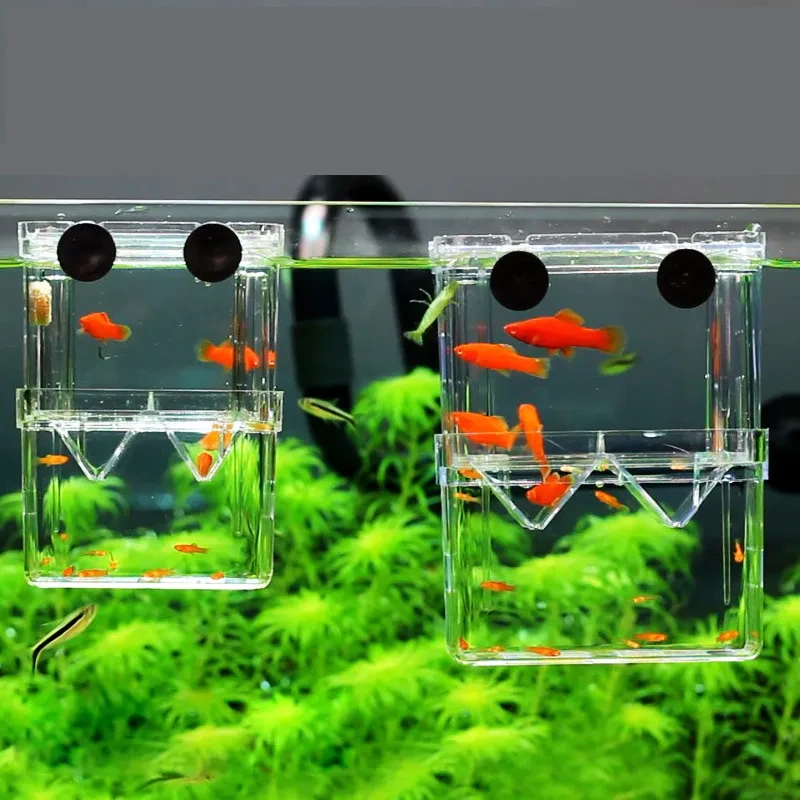 Fish Tank Acrylic Juvenile Fish Hatching Box