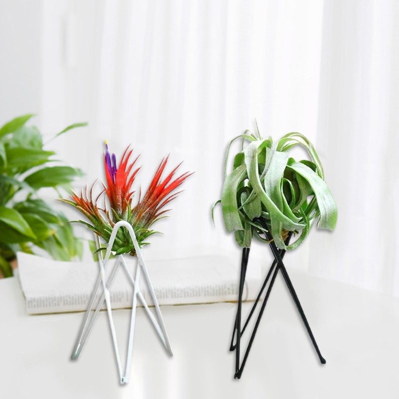 Nordic Style Air Plant Holder  Metal Flower Pot Stand, Geometric Iron Tillandsia Holder, Art Display for Home & Garden