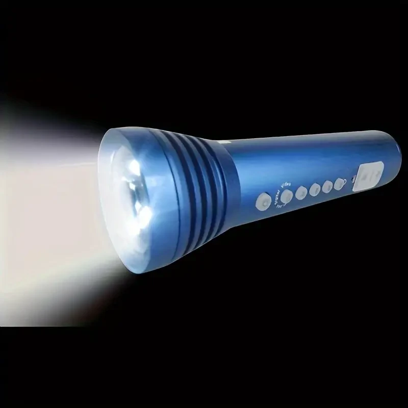 Multi-Function Flashlight with DV Surveillance Camera - MP3 Player & Alarm