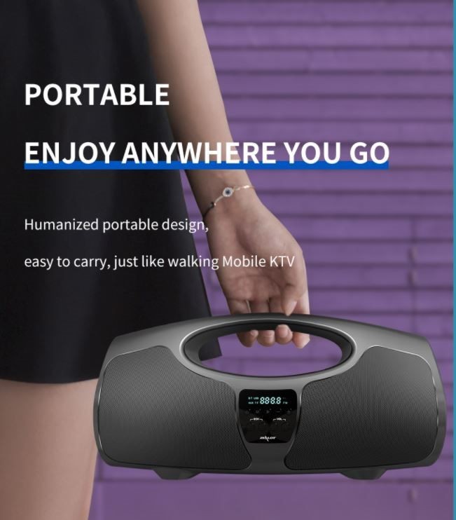Bluetooth speaker, Zealot P1, 40W Loud Speaker,8000mAh, With Wire Microphone,