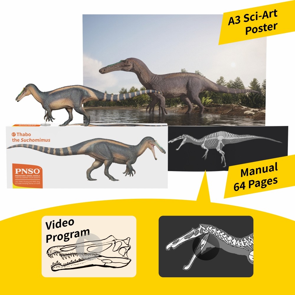 PNSO Prehistoric Dinosaur Model  67 ThaBo the Suchomimus