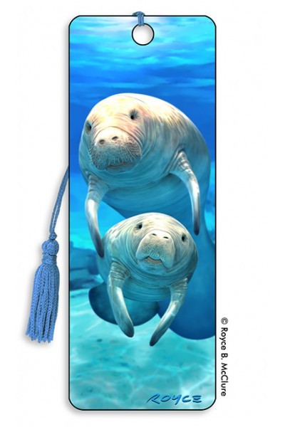 Colorful Clownfish Bookmark