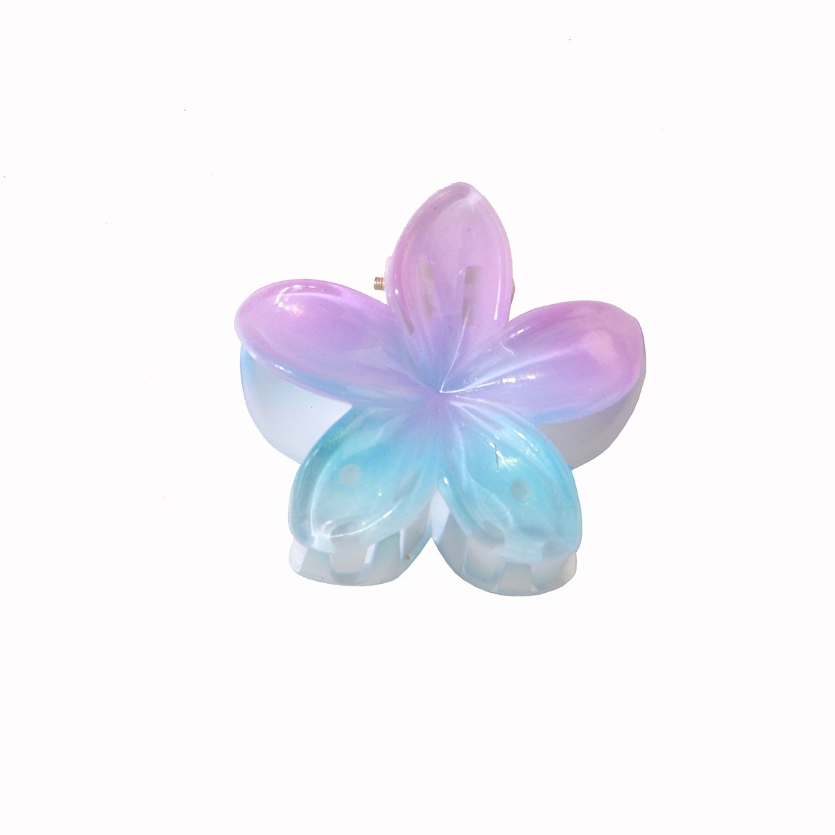 Pastel Gradient Plumeria Hair Claw