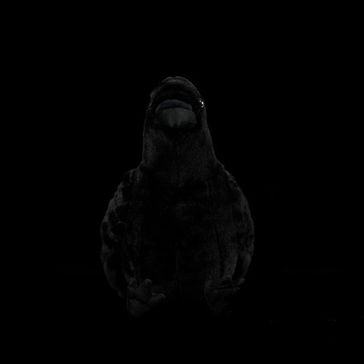 Cute Simulation Big Mouth Crow Plush Toy