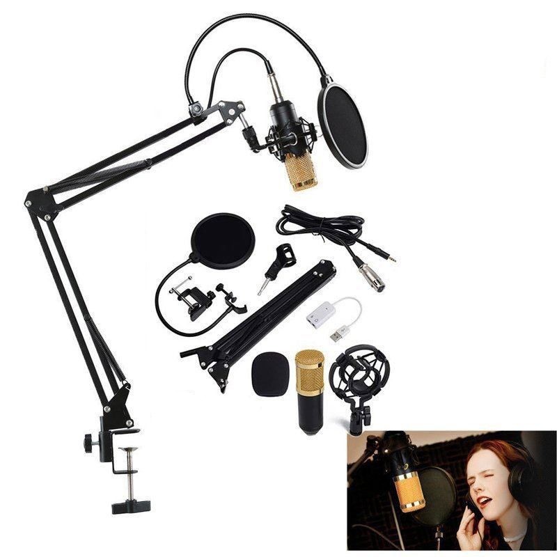 Condenser Microphone with Arm