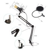 Condenser Microphone with Arm