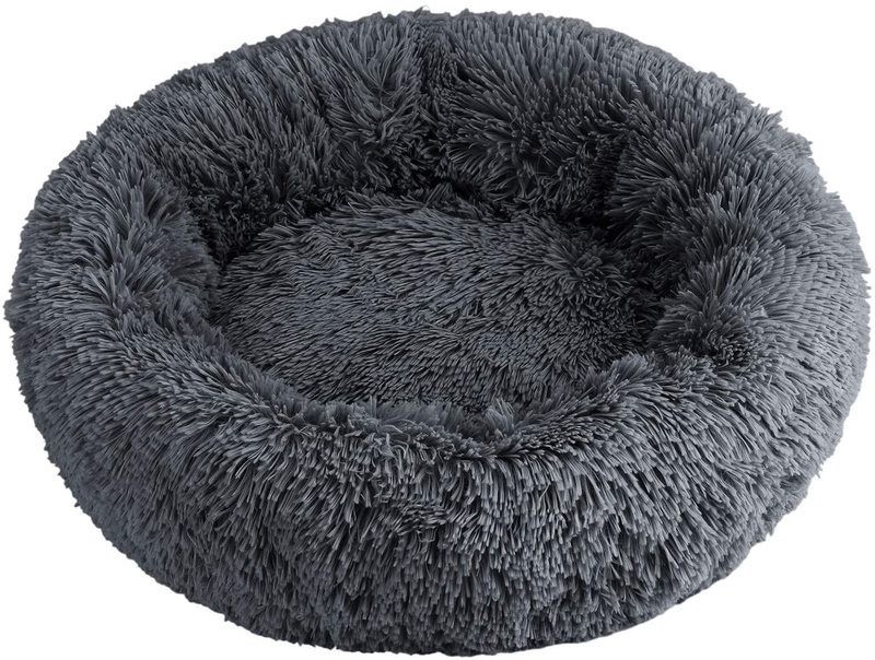 Cat Bed M