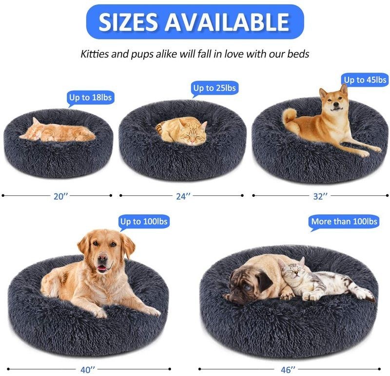 Cat Bed M