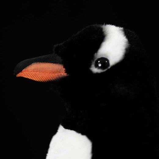 Papua Penguin Plush Toy Animal Doll