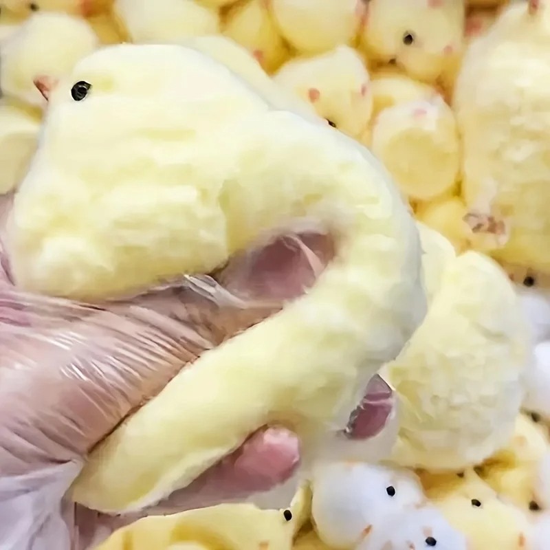 Yellow Chick Squishy Squeeze Toy - Soft Pinch Fidget Toy for Kids and Adults