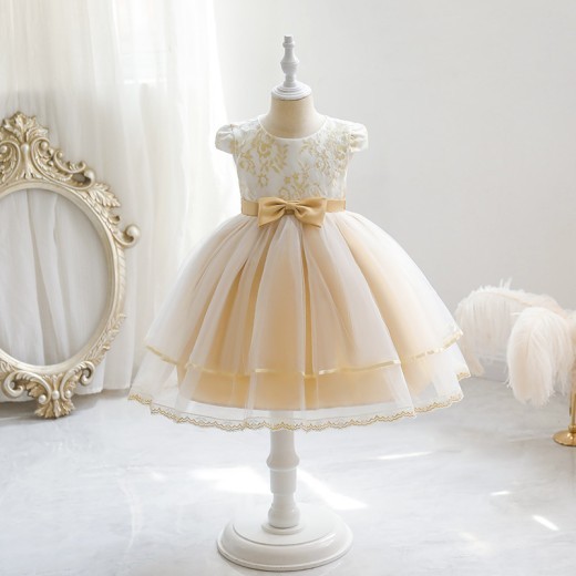 Girls' Princess Dress Embroidered Mesh