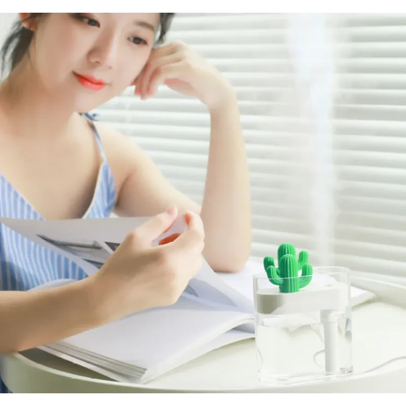 Transparent Landscape Cactus Portable Humidifier