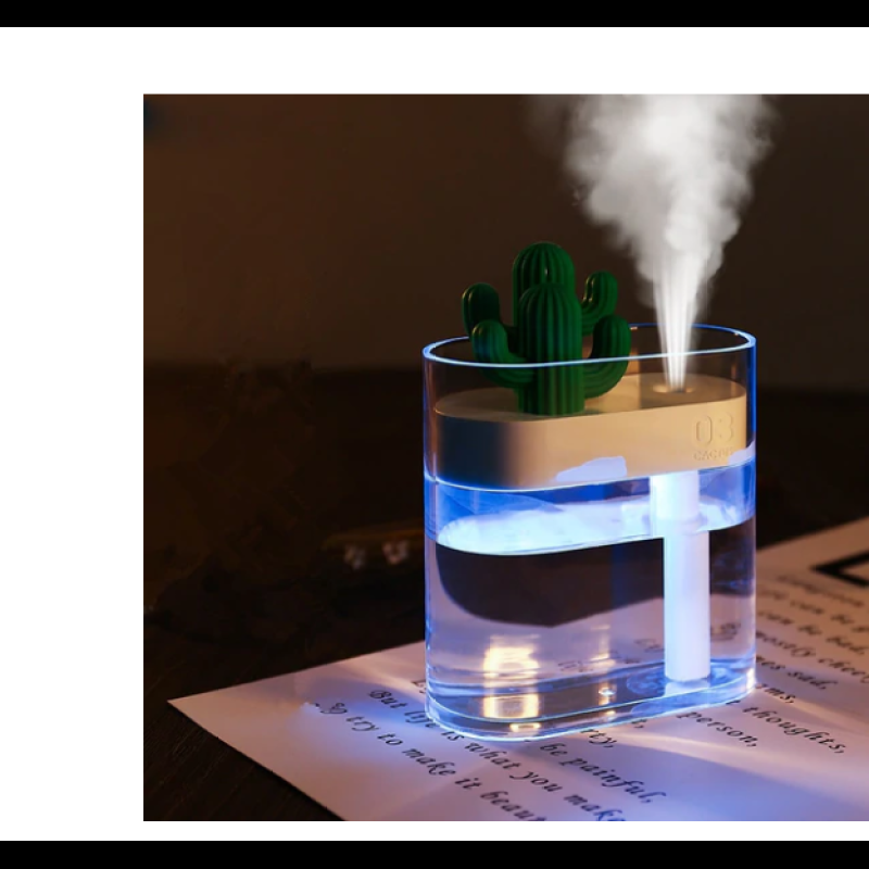Transparent Landscape Cactus Portable Humidifier