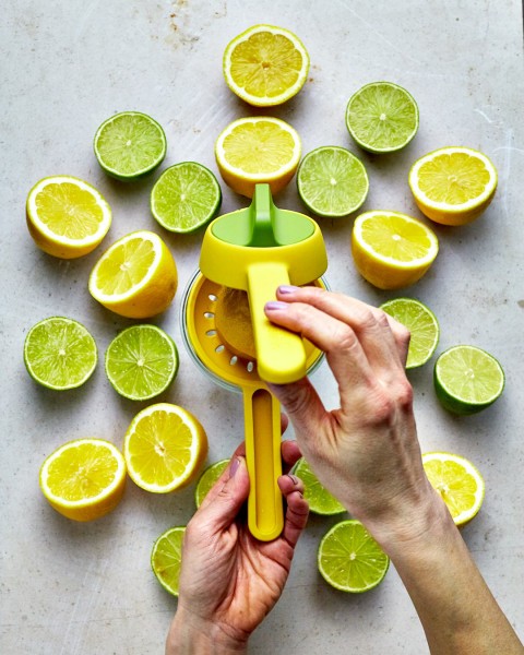 Juicemax Citrus Press - Joseph Joseph