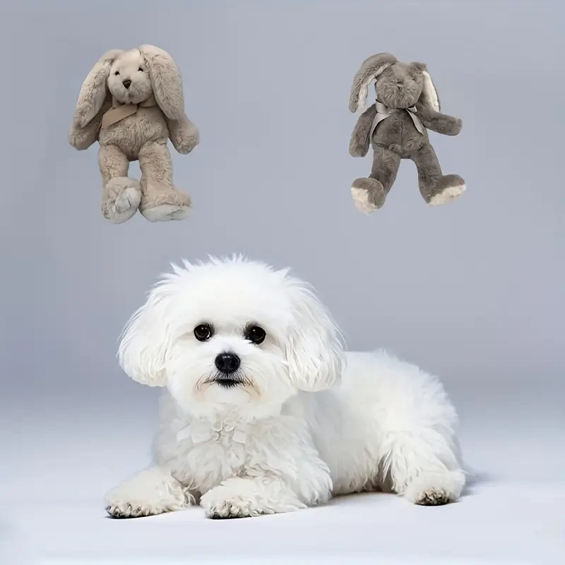 Soft & Fluffy Adorable Bunny Plush Toy