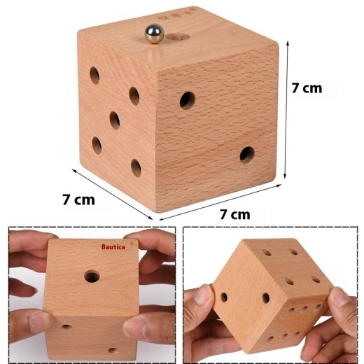 Dice Maze Educational Toy Wooden Ball Labyrinth Ball