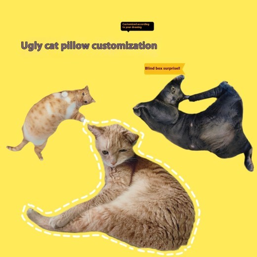 Customized Pet Pillows Without White Edges