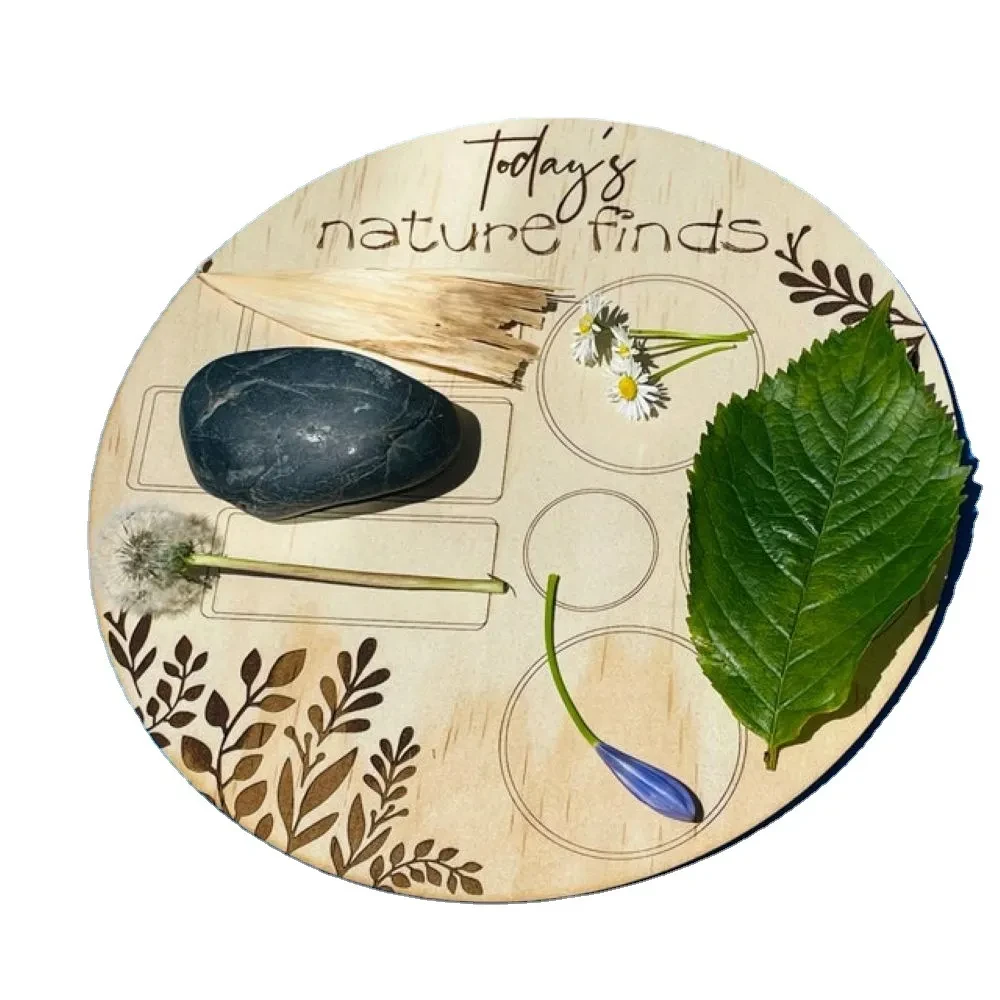 Wooden Field Treasure Hunting Board Toy