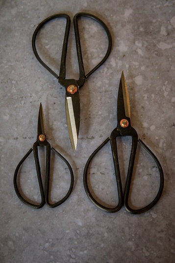 Father Rabbit - Set of 3 plant scissors