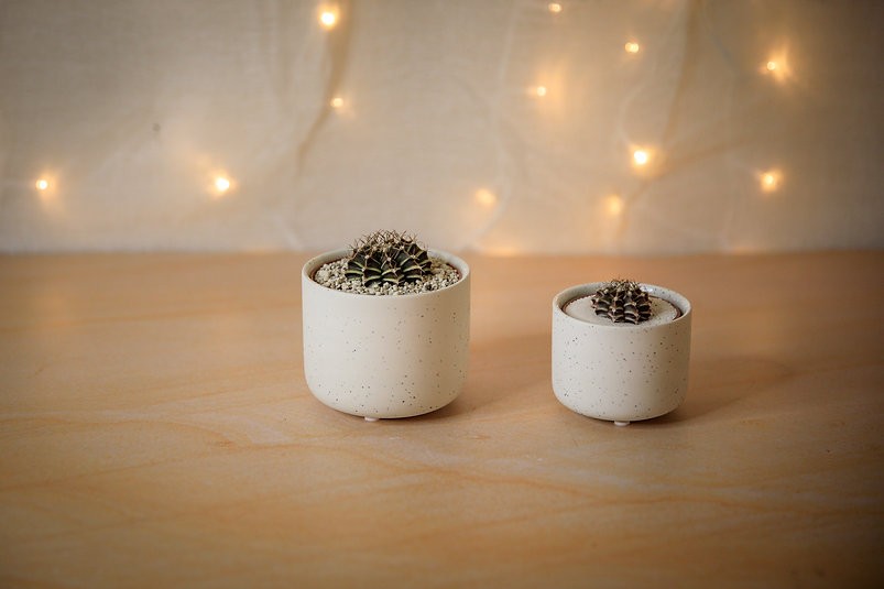The Ricko Ceramic Pots