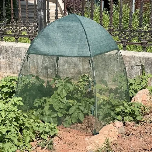Garden Cloche