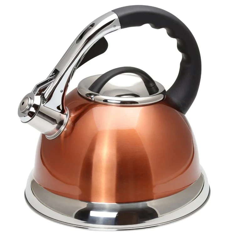 Whistling Tea Kettle Stainless Steel