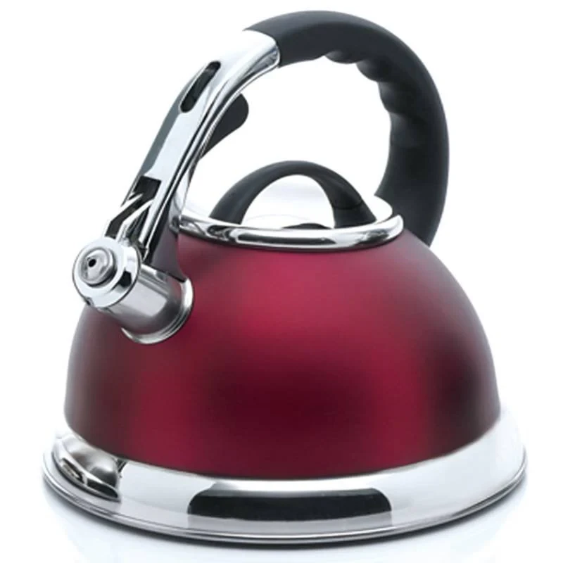 Whistling Tea Kettle Stainless Steel