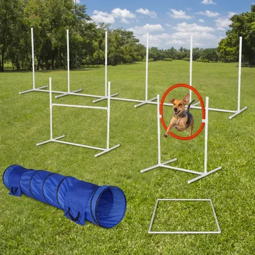 Dog Agility Equipment