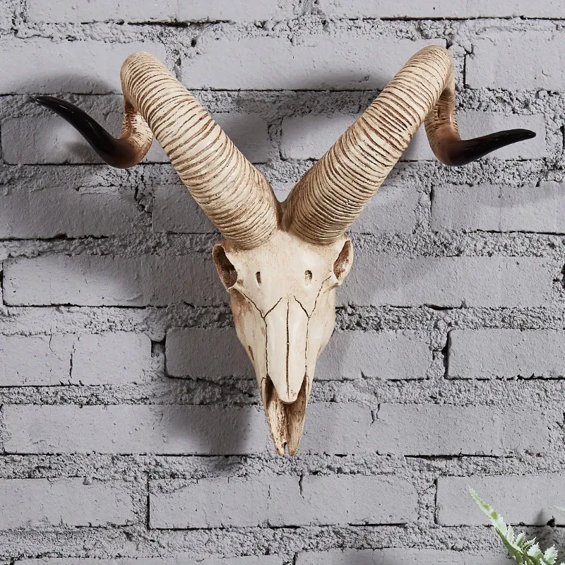 Cow Skull