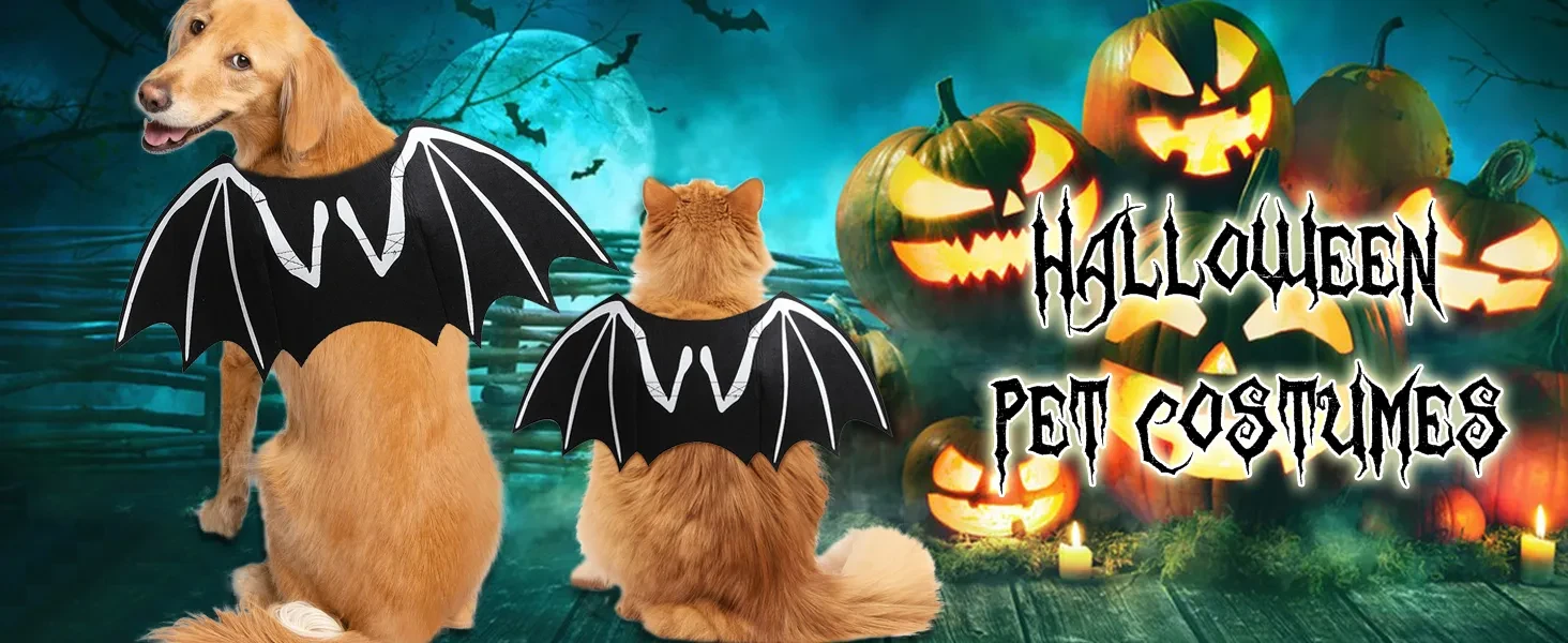 Dog Halloween Costumes