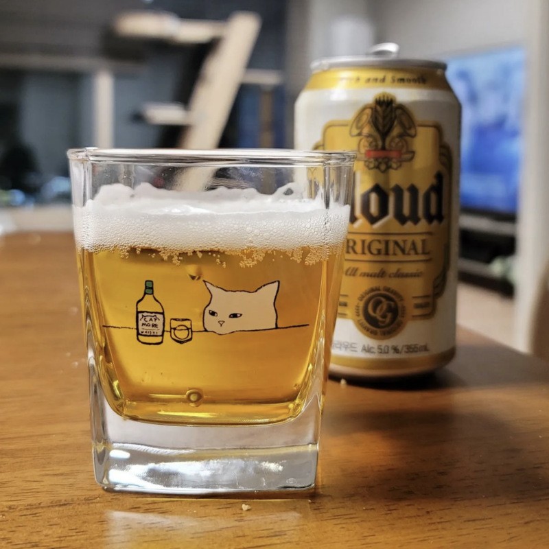 Kitten Cheers Four Sided Beer Glass