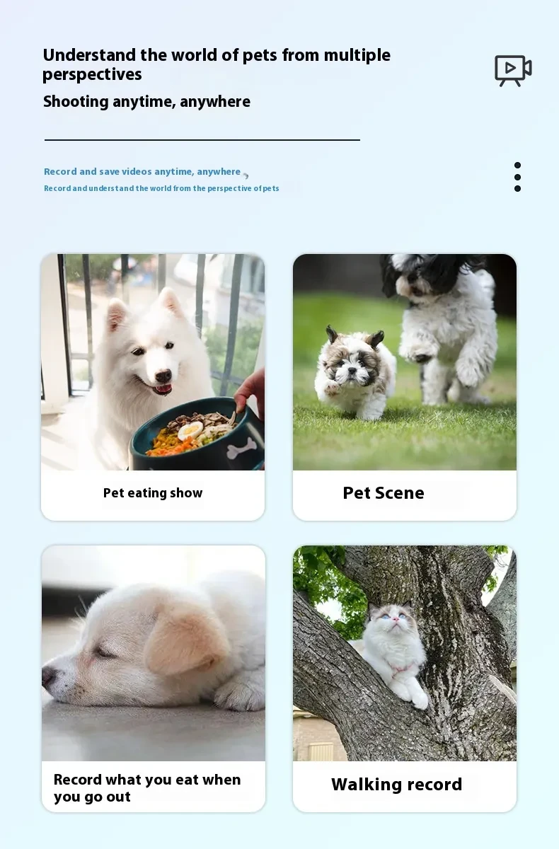 Cat Camera Collar