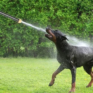 Adjustable Pressure Washer Wand