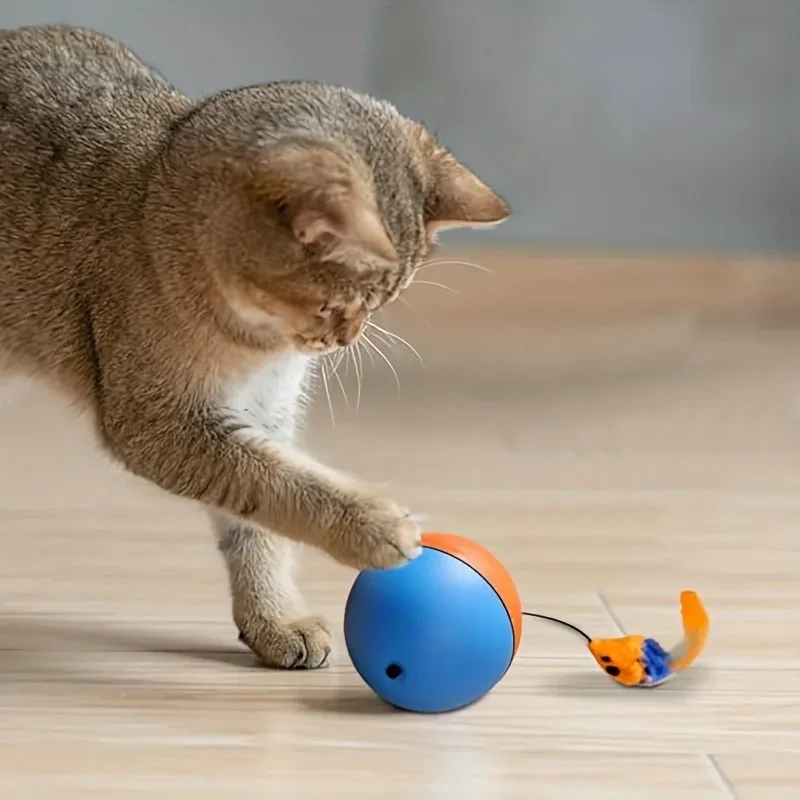 Cat Exercise Ball
