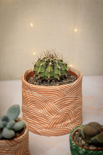 Moobee canvas soft cover pots