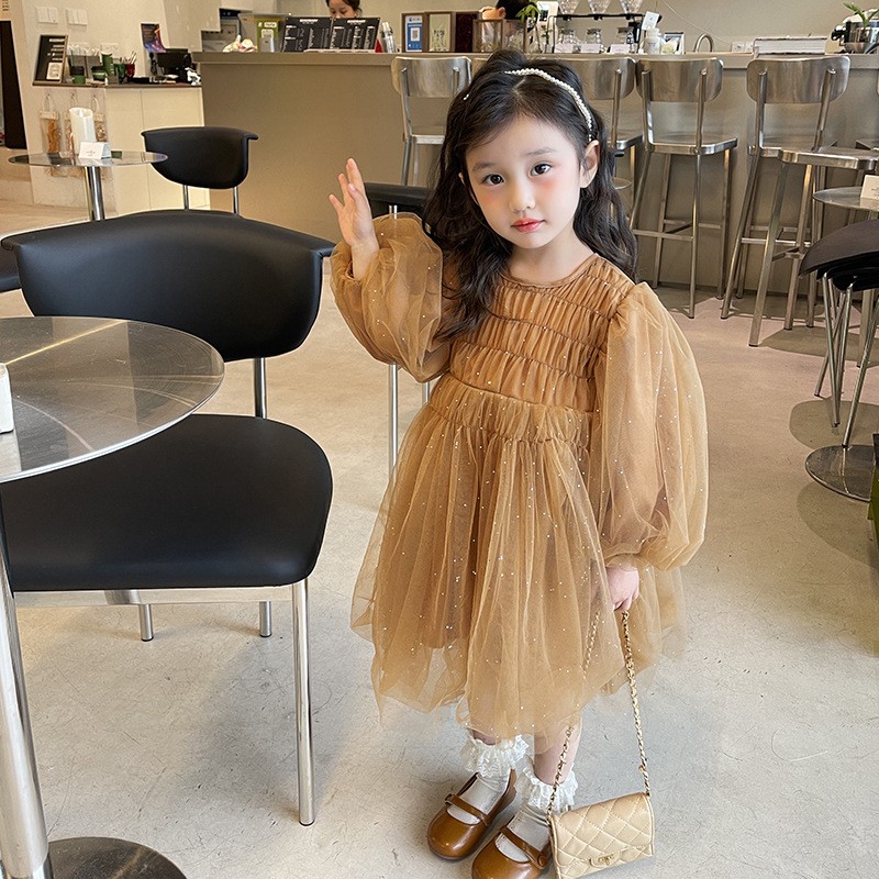 Little Girl Fashionable Stylish Mesh Dress
