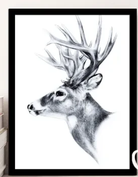 40 cm x 50 cm Frame