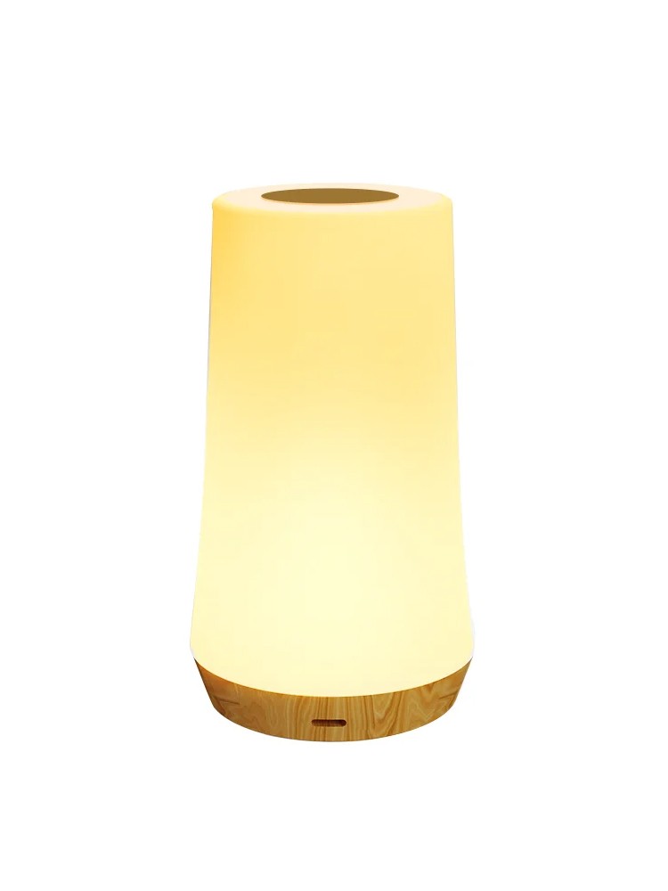 LED Night Light - 13 Color Changing RGB Table Lamp with Remote Control and Touch, Rechargeable Dimmable Bedside Light