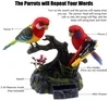 Talking Parrots Birds Toys