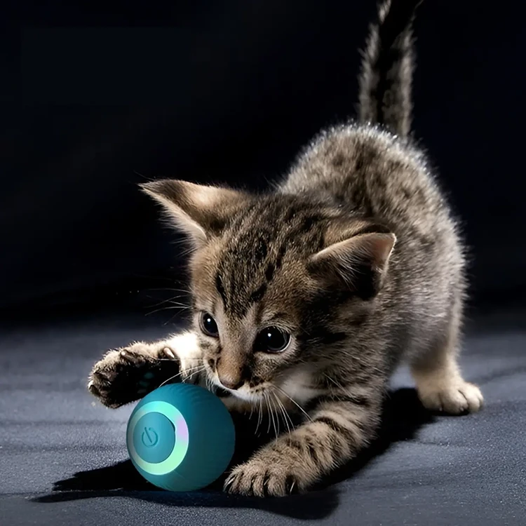 Electric Ball Cat Toy