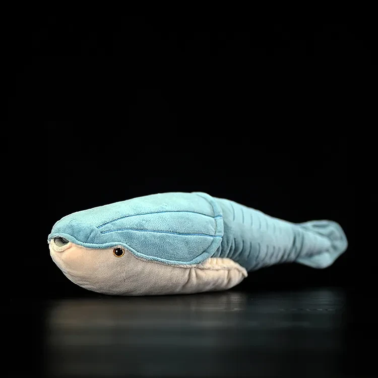Simulated Aranda Fish Plush Toy