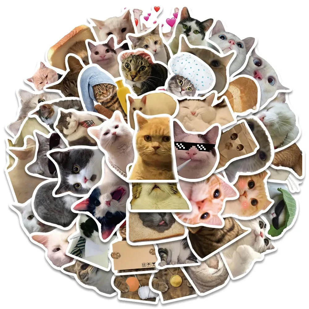 Cat Sticker