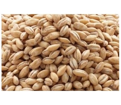 BARLEY PEARL 1KG (BALARS)