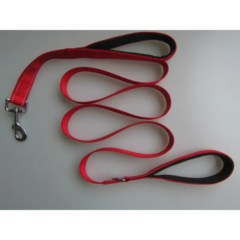 Pet Double Handle Pull Leash