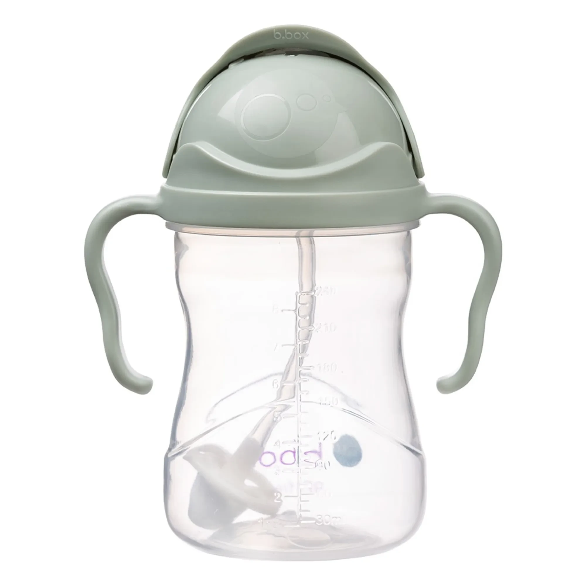 Sippy Cup