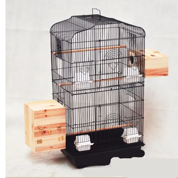 Indoor Bird Enclosure