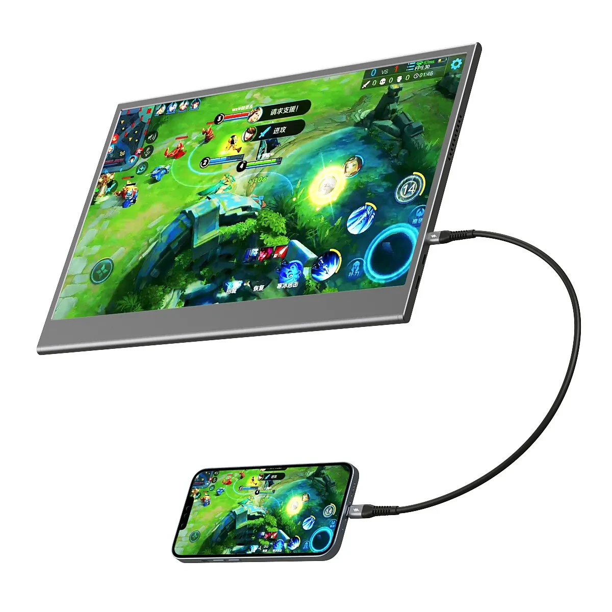 Portable Monitor