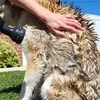 Multi-mode Dog Bath Foaming Water Gun