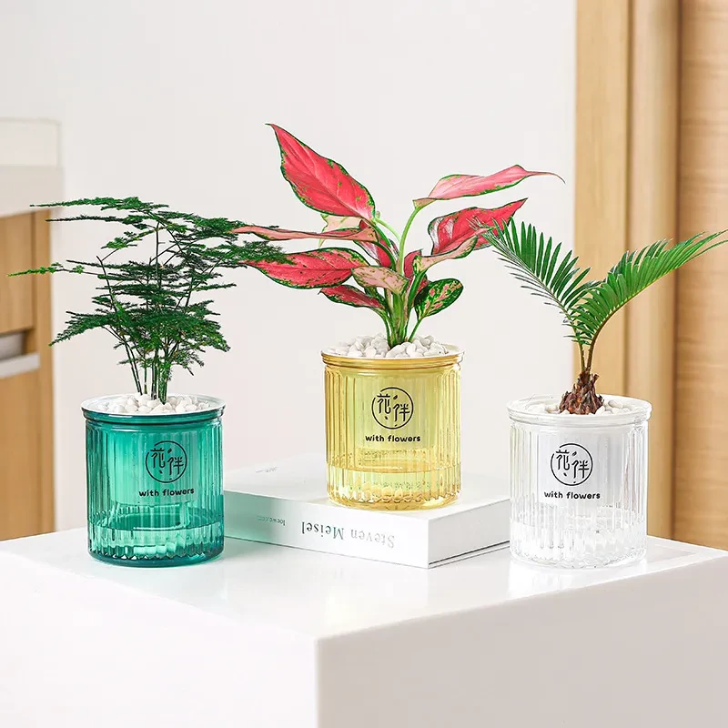 Self-Watering Herb Pot