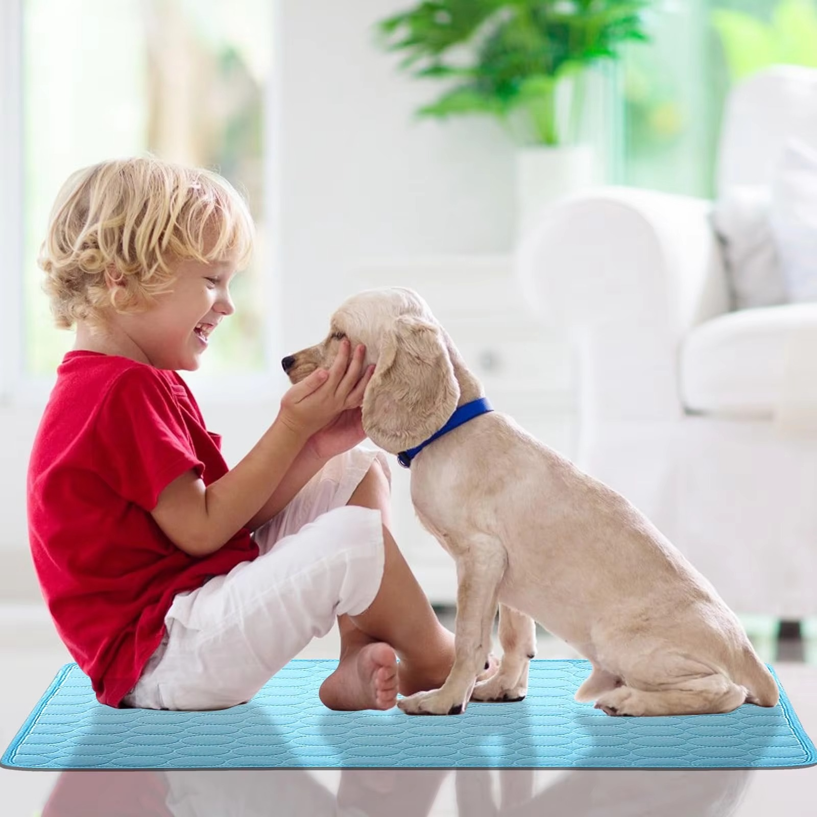 Dog Cooling Mat